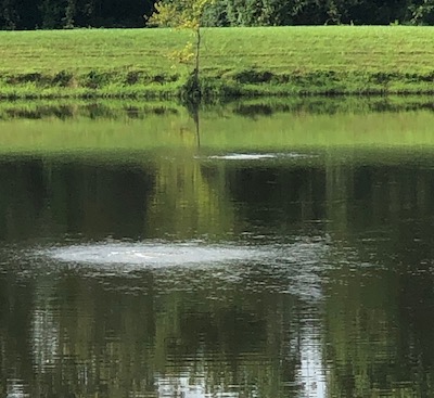 Pond and Lake Aeration for Healthier cleaner ponds and lakes 